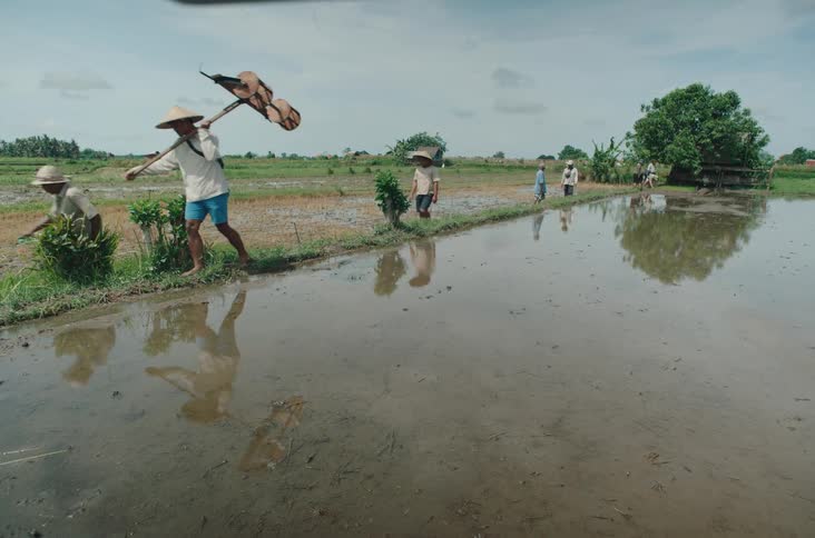 A group of farmers walks along the edge of a flooded rice field under a cloudy sky with one man carrying a plow over his shoulder