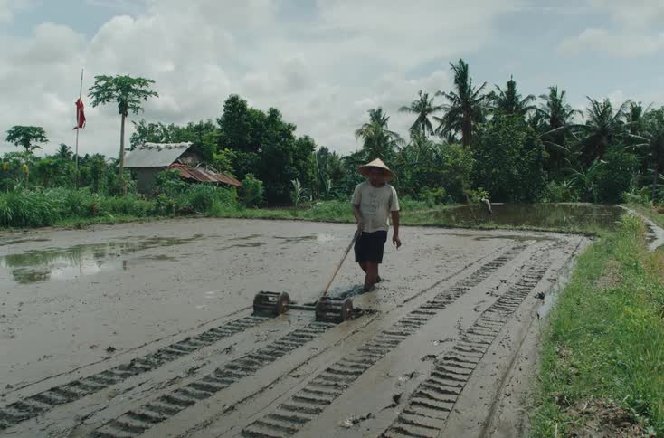A farmer wearing a traditional conical hat is seen in a flooded rice paddy using a manual planting tool to create rows in the mud in the background there are lush green trees a small dwelling and a red flag waving