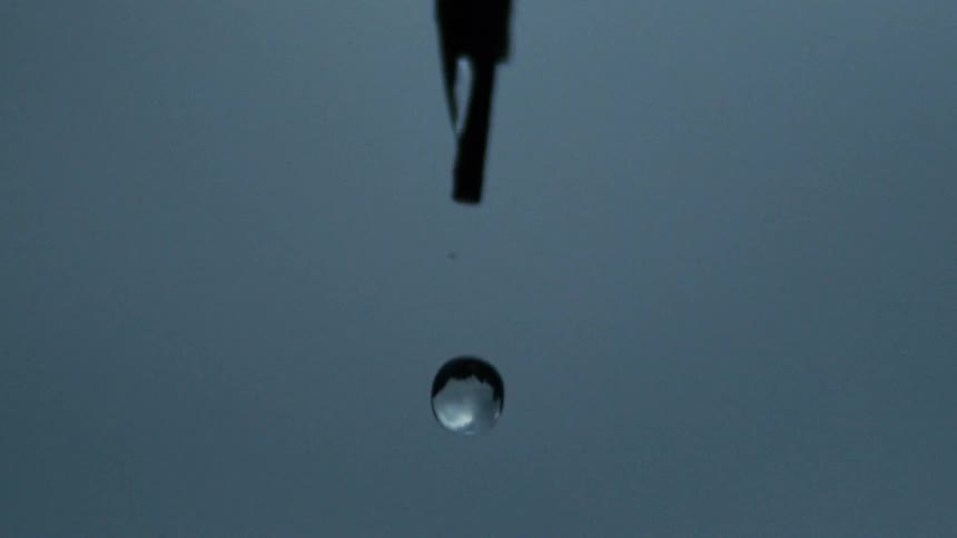 Close up of a water droplet falling from a leaf outdoors