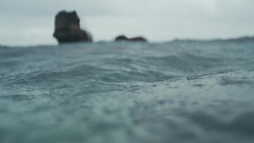Rain falls into an ocean