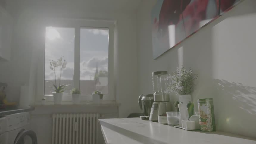Flowers sit on the window sill in a kitchen