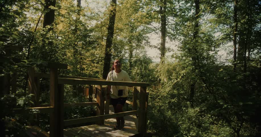 A person walks across a wooden bridge surrounded by a dense sunlit forest