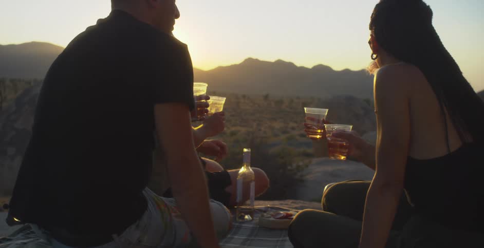 Friends drink alcohol during a picnic