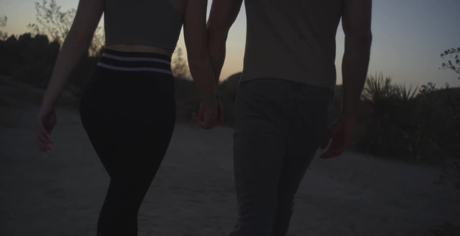 Couple holding hands walking in a natural setting at dusk