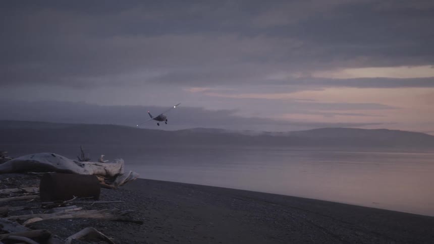 A biplane flies low over a beach