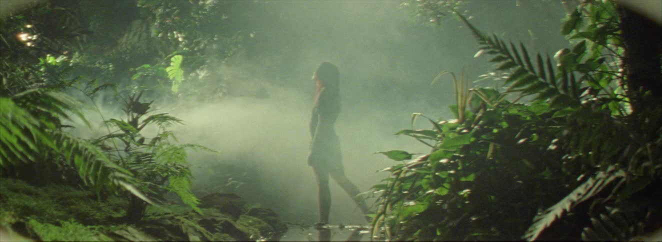 The video shows a dense misty jungle or forest with a person crouching in a small stream or body of water the scene has an ethereal quality due to the fog and lush greenery
