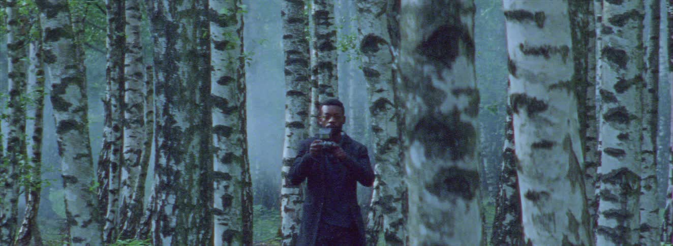 Man using a professional camera in a foggy forest environment