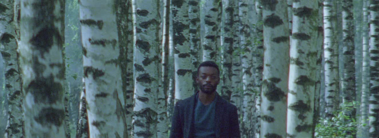 Man walking between tree trunks in a forest