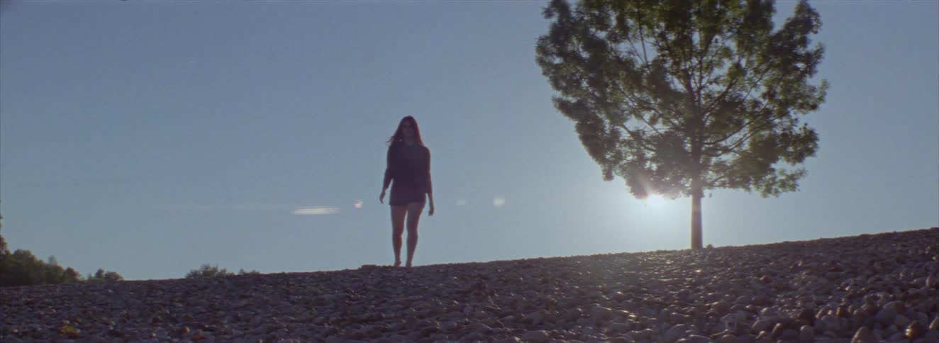 A person lays on the ground then gets up on a rocky hillside under a clear sky with the sun glowing behind a lone tree