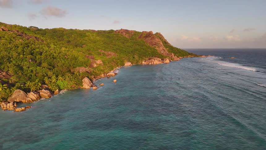 Aerial view of lush coast where forest meets clear blue ocean