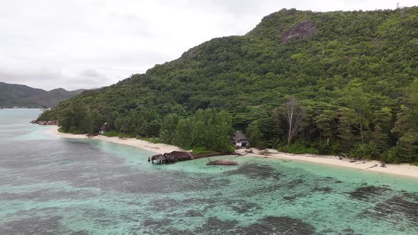 A tropical beach meets dense forested hills and clear turquoise waters