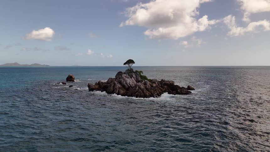 A small tree on a tiny island