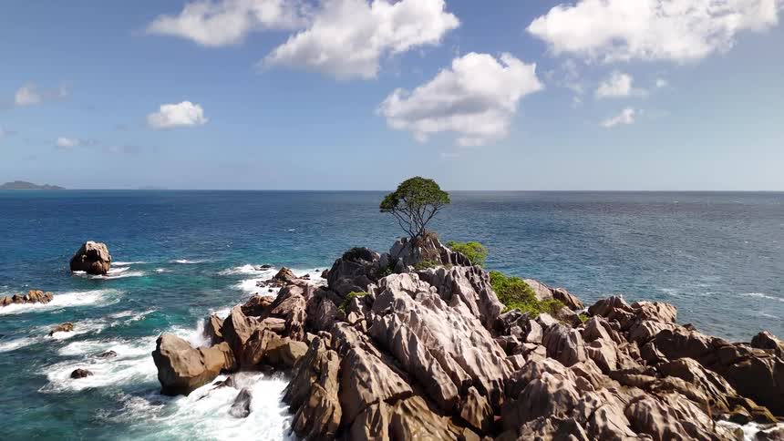 A small island has a single tree on it