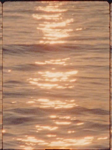 Golden sunlight reflects in shimmering streaks across gently rippling water