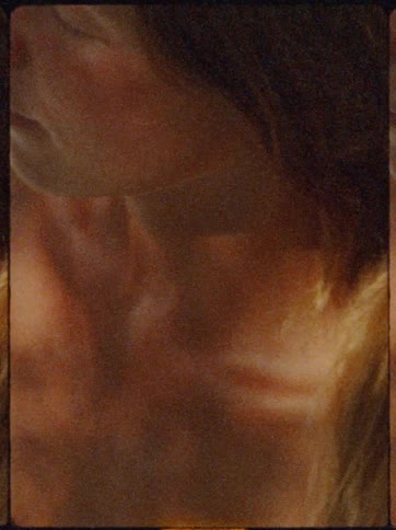 A womans sunkissed shoulder and collarbone are bathed in warm dappled light
