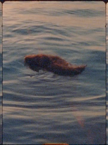 Woman enjoying the sea in the late afternoon with the sun on the horizon