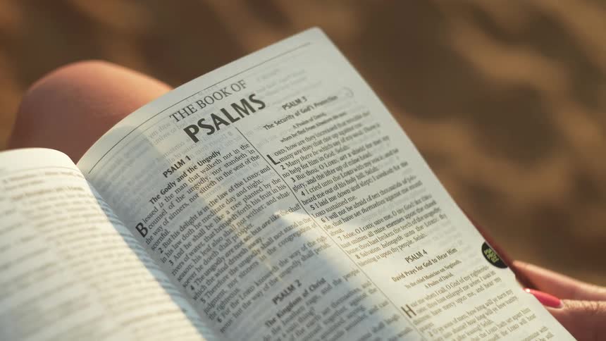 Person outdoors holding an open bible