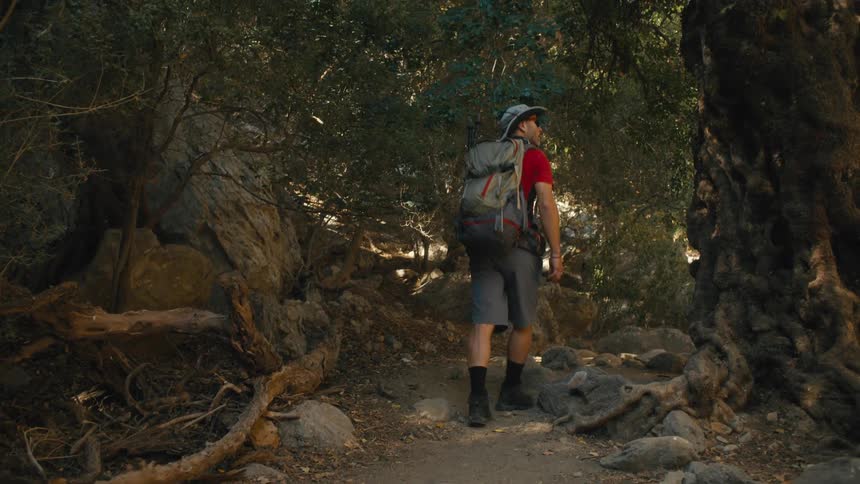 A man in a red shirt hikes through a rocky forested canyon