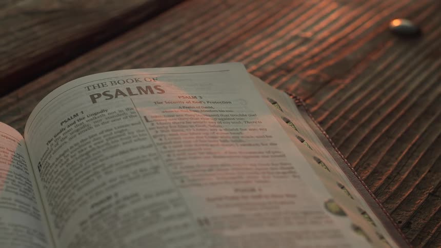 Closeup of an outdoor bible
