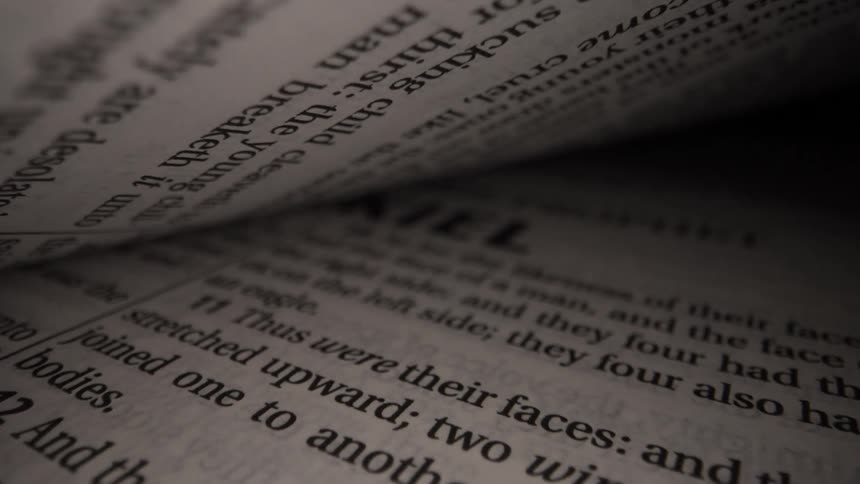 The open book is full of words