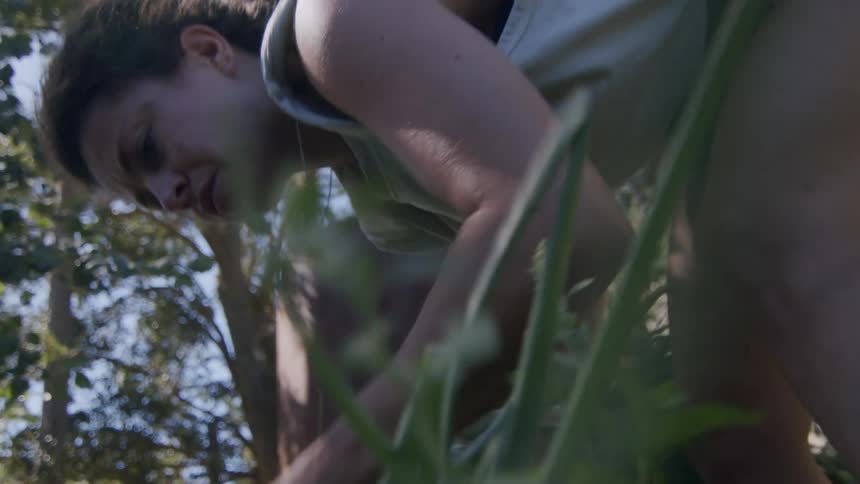 A woman is harvesting fresh onions from a garden holding several onions with roots and stems still attached