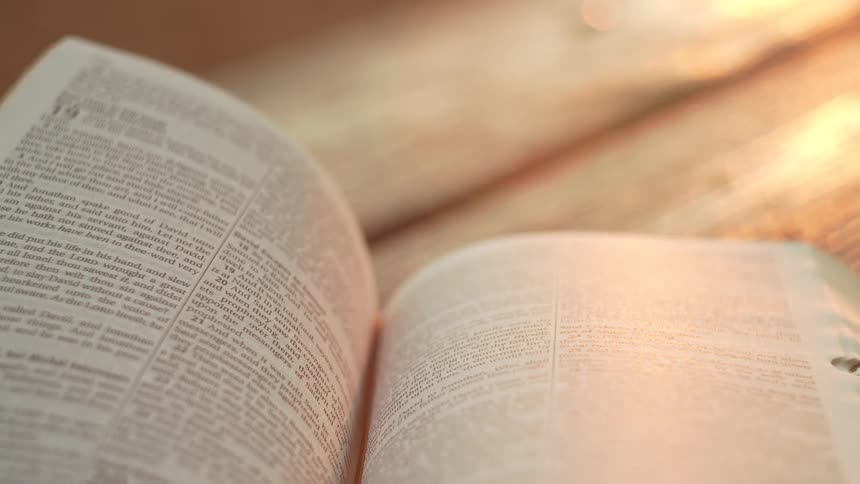 An open book lies under warm lighting as its pages rapidly turn creating a soft blur over lines of printed text