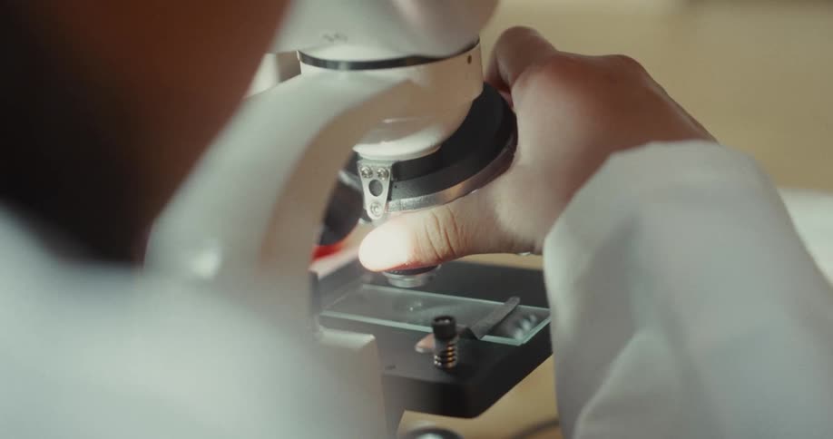 The microscope is being adjusted while viewing a slide