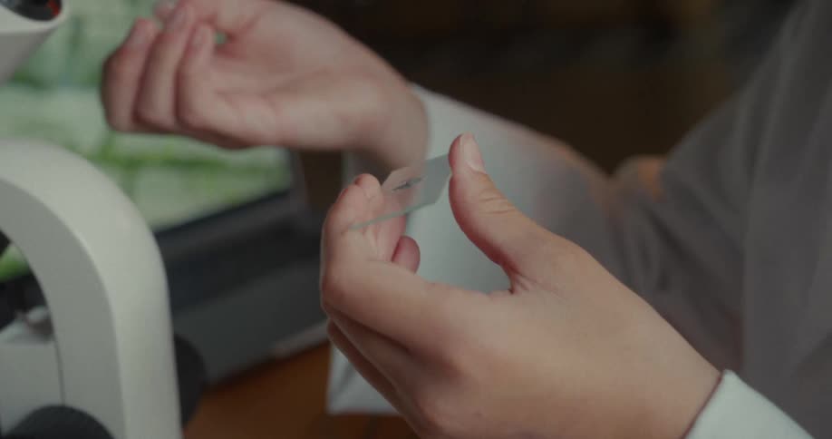 Pair of hand holding a laboratory instrument