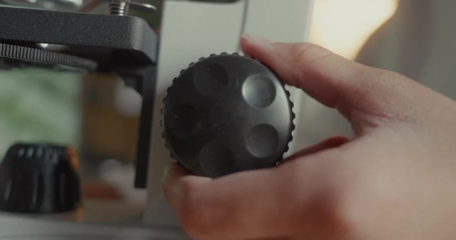 Hand adjusting a microscope