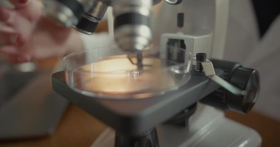 A petri dish is placed in a microscope for analysis