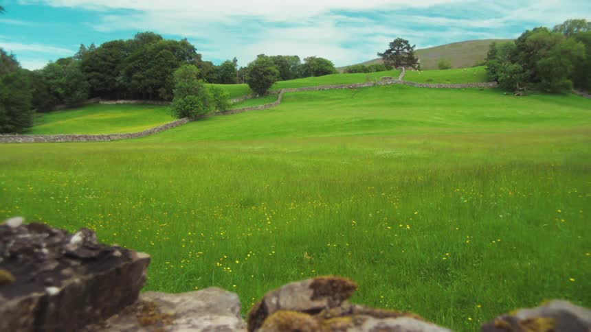Vast green field surrounded by a small stone wall