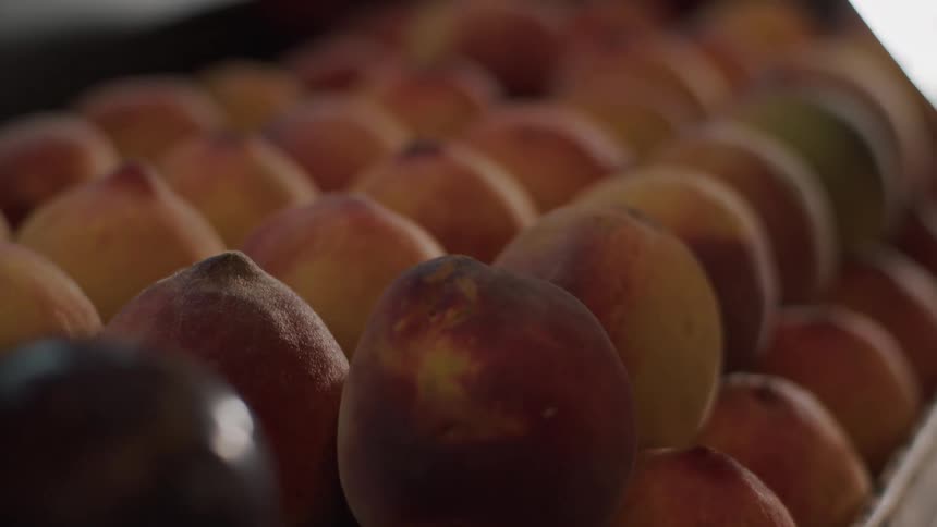 Fresh peaches stacked in rows under soft lighting