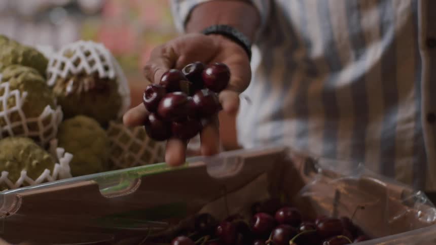 A closeup of a persons hands sorting through a container of fresh cherries the person picks up a handful of cherries inspects them and then drops them back into the container suggesting they are checking the quality of the fruit