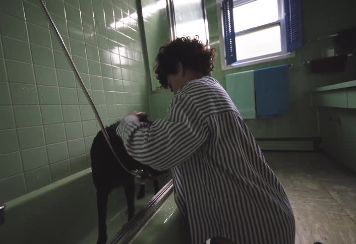 Boy bathing his dog with hand held shower head in bathtub