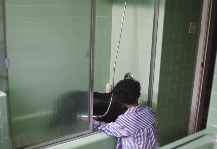 A boy is kneeling down and giving his dog a bath in the tub