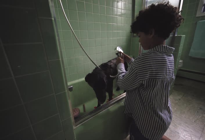 Boy giving a dog a bath in a bathroom bathtub