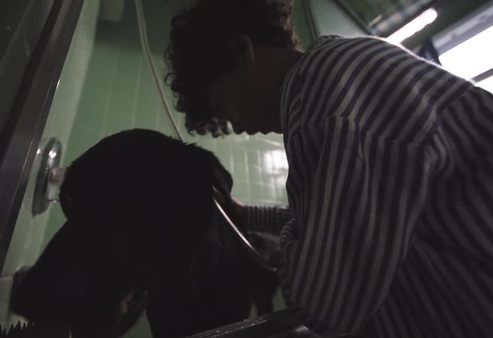 Boy bathing a dog