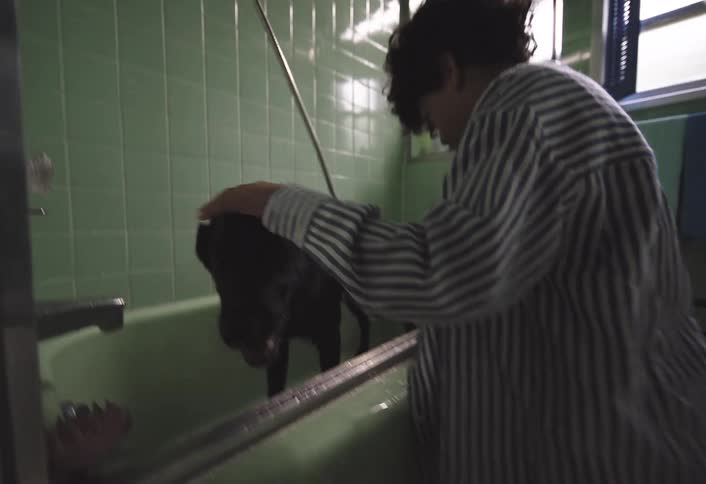 Boy bathing a dog in the bathtub