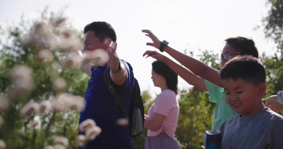 A group of five people including adults and children are standing in a field with fluffy white plants in the foreground looking and pointing towards something out of frame the group appears to be outdoors on a sunny day