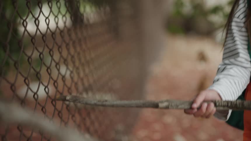 A stick is dragged across a chainlink fence with a shallow focus on the metal pattern and natural background