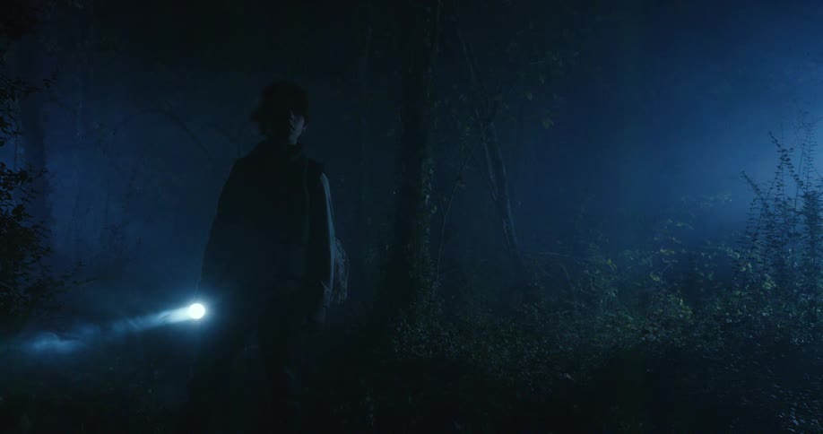 Silhouette of a person with a flashlight walking through a forest at night