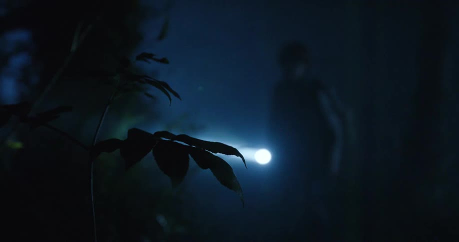 The child walks through the dark foggy woods