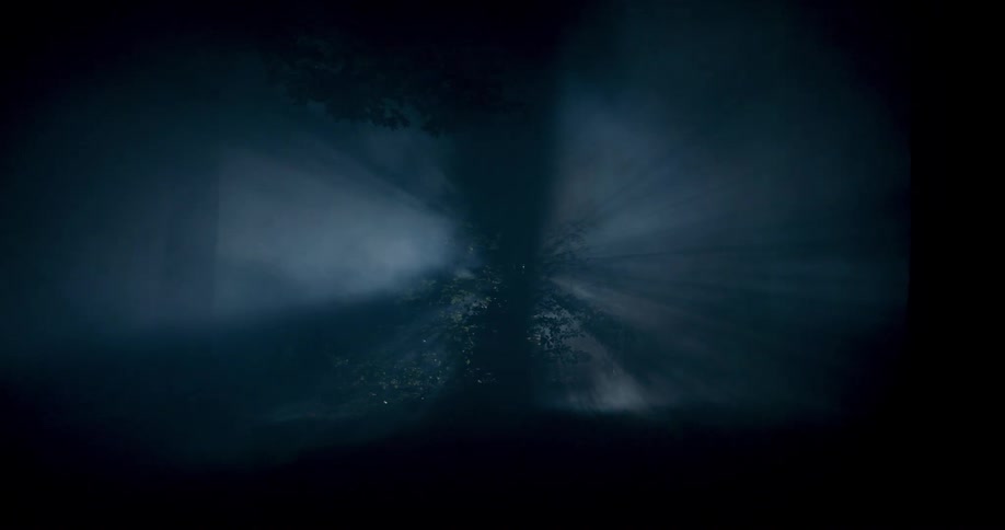 Foggy forest at night with light reflection in the background