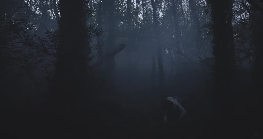 A young boy is running in the woods stumbles and falls then quickly gets back up and continues running in fear through a foggy environment at sundown