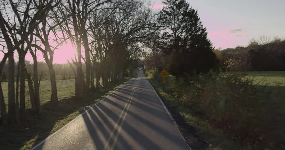A rural road with tall trees casts long shadows in morning light