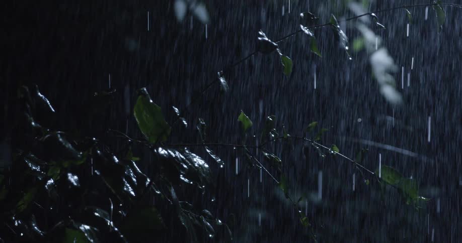 Heavy rain falling on leaves at night