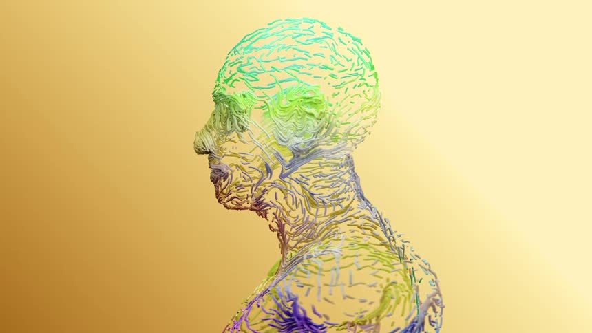 animated human head rendered in a dynamic wirelike style with shifting colors the colors transition smoothly from purple and yellow to green and blue creating a vibrant digital art effect