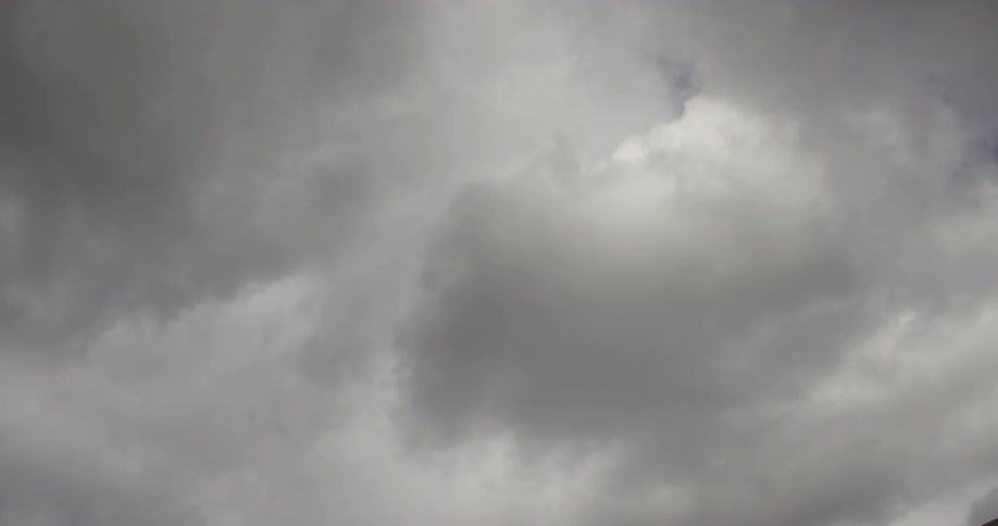 A solid gray low cloud moves quickly over trees filling the entire frame