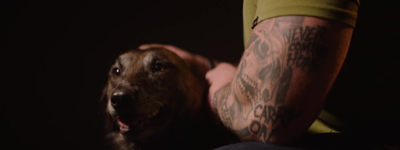 A military officer wearing an army uniform and a hat with tattooed arms visible is gently petting a canine