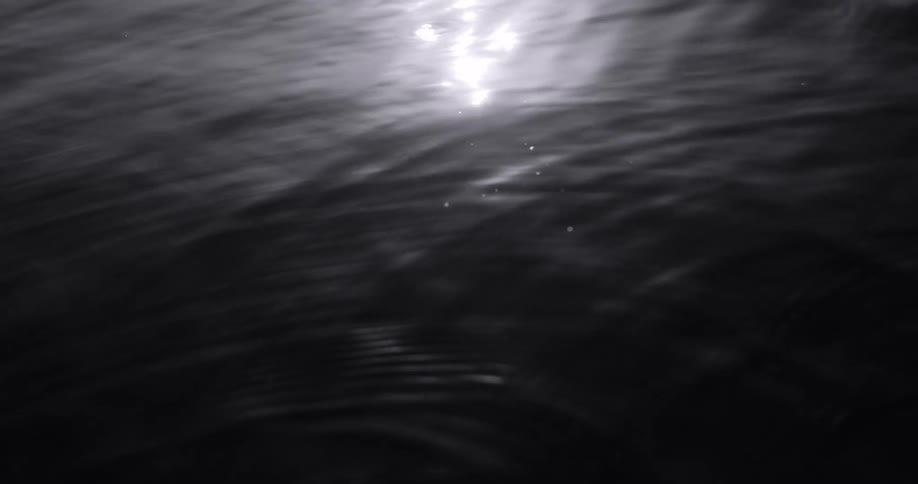 Sunlight reflects on the water